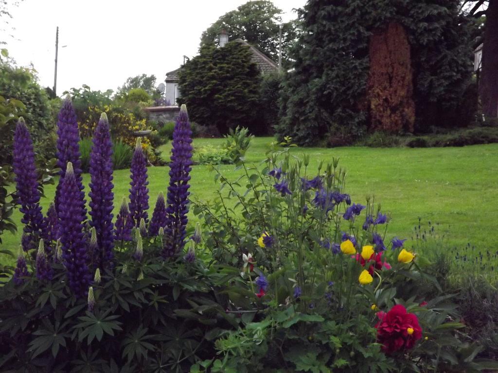Hillcrest House Newton Stewart Dış mekan fotoğraf