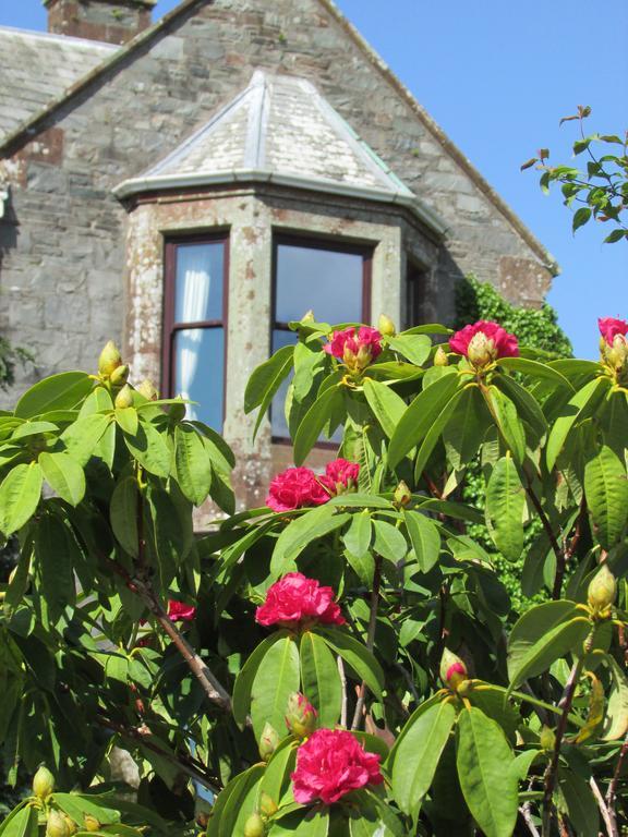 Hillcrest House Newton Stewart Dış mekan fotoğraf